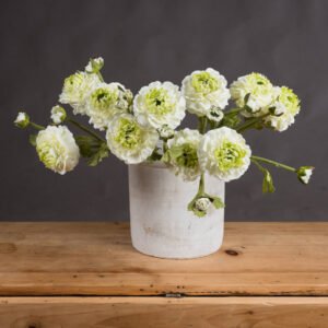 Introducing our stunning Green Ranunculus Spray