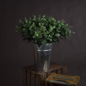 Short stem dark green cineraria eucalyptus spray.