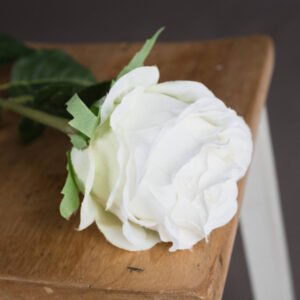 seamlessly integrating into various design schemes.  Ideal for creating stunning centerpieces or adding a touch of sophistication to any floral arrangement. Pair with blush peonies or dusty miller for a romantic