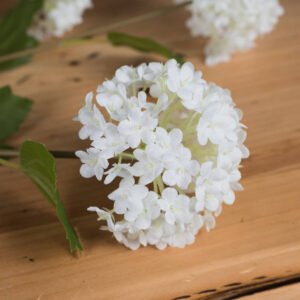 perfectly capturing the essence of the beloved Snowball bush. Ideal for creating stunning year-round displays