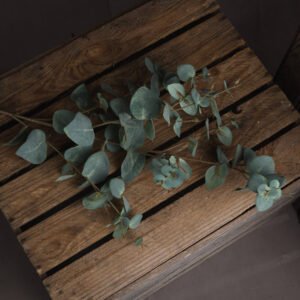 chosen for its realism. This beautiful eucalyptus specimen can be used alone to set off almost any vase or as foliage within a mixed arrangement of blooms.