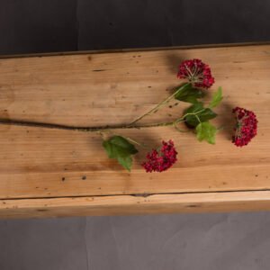 creating an authentic seasonal display that captures attention in both retail and commercial settings. This artificial viburnum stem pairs wonderfully with our Burgundy Peony Rose for depth