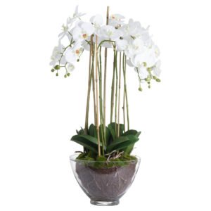 every care has been taken in the accuracy of its creation. This faux plant would look fantastic as a dining table or console table's centrepiece.