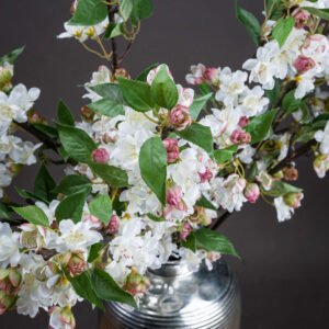 pale pink Prunus blossoms nestled among vibrant green leaves