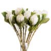 Transform your artificial flower selection with our exquisite faux Closed White Protea stem. This meticulously crafted artificial bloom captures the unique beauty of Protea cynaroides in its budding stage