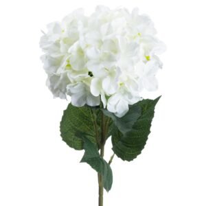 boasting lush clusters of delicate florets. This Hydrangea macrophylla replica captures the timeless elegance of nature