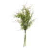 Introduce a touch of natural elegance with the captivating Asparagus Fern Bunch from Hill Interiors. Meticulously crafted with an eye for detail