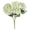 Elevate your surroundings with the captivating allure of the Green Hydrangea Bouquet