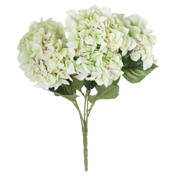 Elevate your surroundings with the captivating allure of the Green Hydrangea Bouquet