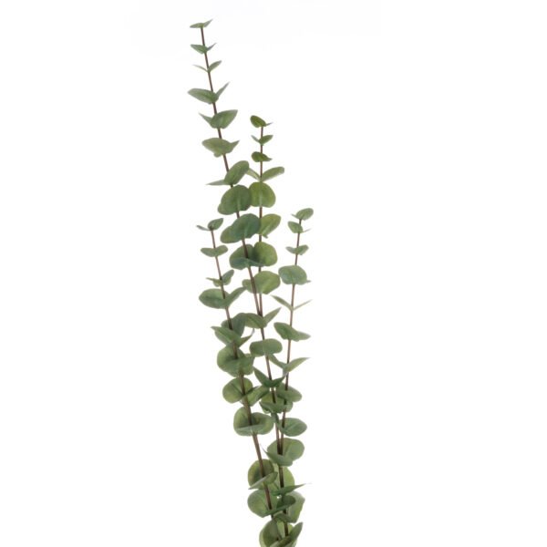 Use this life-like eucalyptus stem as a filler in bouquet of faux flowers or bundle more of this stem together for an impactful arrangement. It can be used all year round