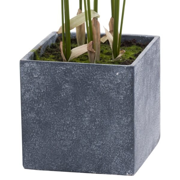 creating an impressive focal point that requires zero maintenance while maintaining year-round vibrancy. Set in a minimalist square grey container