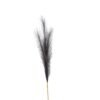 This is the Grey Faux Pampas Grass Stem. A plume of on-trend faux pampas that will tone beautifully with neutral and contemporary decor styles. On-trend and simple to style