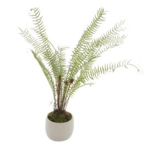 A stunning representation of botanical authenticity awaits in this white stone-potted creation. Each delicate frond cascades naturally