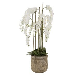 This is the Large White Orchid In Antique Stone Pot. Our floral brand