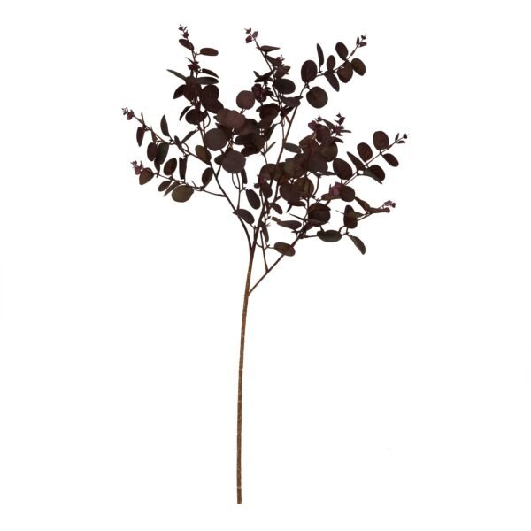 sculptural foliage that captures the organic beauty of Eucalyptus cinerea. The deep wine-colored leaves create a sophisticated silhouette