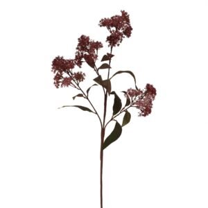 Add natural elegance and visual interest to your displays with our stunning Medium Burgundy Smokebush Stem. This exquisite piece features a rich burgundy hue with a smoky