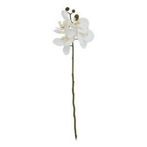 Bring botanical artistry to your retail space with this meticulously detailed White Butterfly Orchid Stem. Each petal exhibits a delicate translucency that mimics the ethereal beauty of natural orchids