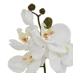 while the graceful stem creates an illusion of organic growth. The pristine white blooms offer a fresh