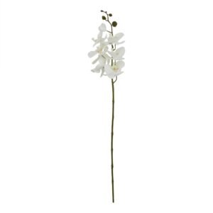 Infuse your spaces with the graceful allure of this white butterfly orchid stem