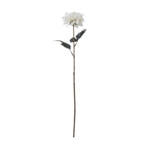 Breathe new life into your floral inventory with our stunning Tall White Dahlia from The Natural Garden Collection. This masterfully crafted faux bloom perfectly mimics the intricate beauty of Dahlia pinnata