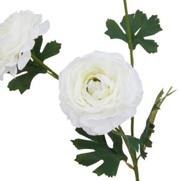 our artificial white Ranunculus (Ranunculus asiaticus) stem brings the charm of the buttercup family indoors. This faux flower perfectly replicates the species' distinctive spirally arranged sepals and numerous stamens