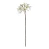 Bring the timeless beauty of Nerine lilies into your store with our exquisite faux White Nerine Lily Stem. This meticulously crafted artificial bloom captures the delicate charm of Nerine sarniensis