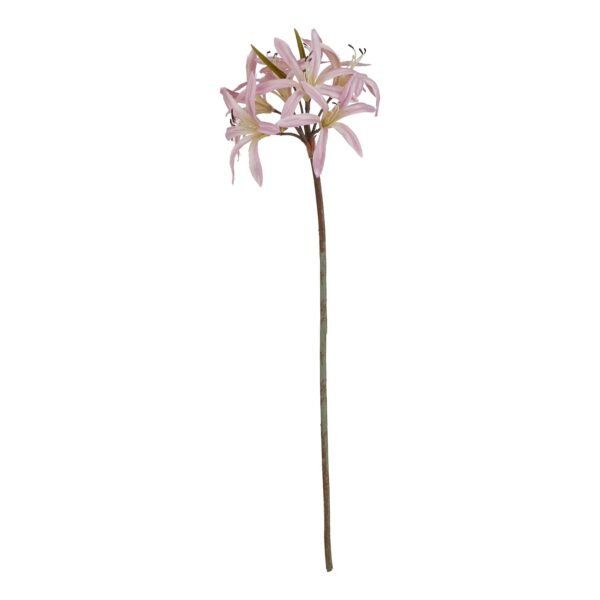 Bring the timeless elegance of Lilium to your collection with this exquisite pink lily stem. This lifelike botanical masterpiece captures the delicate beauty of Asiatic lilies