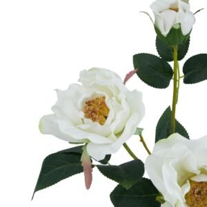 our White Tea Rose stem from The Natural Garden Collection offers unparalleled realism and lasting beauty. This meticulously crafted Rosa x alba hybrid boasts delicate