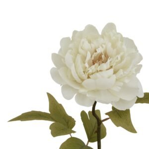 layered petals and subtle cream hues of a fresh-cut bloom in perpetual perfection. The realistic green leaves and sturdy stem add to its authentic appeal.  Ideal for discerning customers seeking low-maintenance