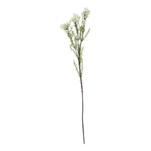 Introduce an air of botanical sophistication to your floral collection with our stunning faux White Waxflower (Chamelaucium uncinatum) stem