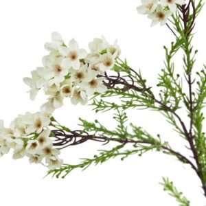 a masterful recreation of Australia's beloved native bloom.  This lifelike reproduction features clusters of dainty