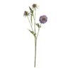 This enchanting purple scabious stem brings countryside charm to any floral arrangement. The delicate petals showcase rich purple hues that appear lifelike in both natural and artificial light. For maximum visual impact