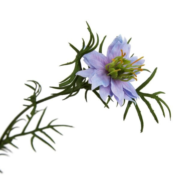 star-shaped blooms and intricate seed pods capture the enchanting aesthetics of Love-in-a-Mist in full bloom. Perfect for creating rustic garden-inspired arrangements