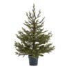 Bring the magic of Christmas to your customers' homes with our enchanting Potted Natural Pine Tree. This lifelike artificial pine captures the essence of a freshly cut Christmas tree