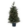 Transform your customers' holiday ambiance with our stunning Medium Fir Tree in Pot. This artificial masterpiece features richly textured