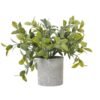 Bring a touch of natural elegance to any space with this charming small box plant in a sleek grey pot. The lush