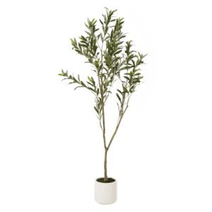 Immerse your customers in the sun-drenched charm of the Mediterranean with our magnificent Apulia Olive Tree. This lifelike 150cm botanical marvel boasts an authentically gnarled trunk and branches