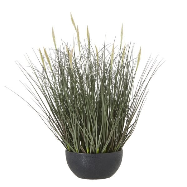 Bring the beauty of nature indoors with our exquisite faux Fountain Grass (Pennisetum alopecuroides) arrangement. This lifelike replica captures the graceful