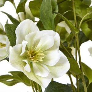 this faux Hellebore plant boasts delicate