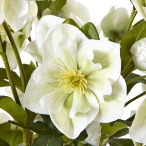 our faux Hellebore arrangement in a grey pot exudes a timeless elegance. The delicate