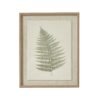 This exquisite botanical print showcases a delicately preserved bracken fern