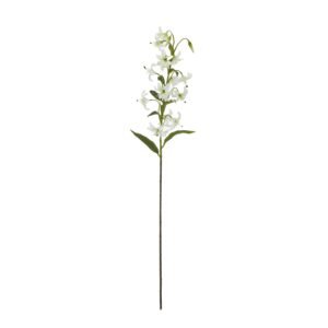 The Turks Cap Green Lily Spray is a stunning addition to any floral arrangement or decor. With its delicate