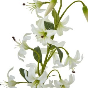 bell-shaped white flowers and lush green foliage