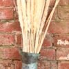 Decorative Dried Pampas Grass 60cm