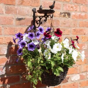 Cast Iron Hanging Basket Wall Bracket With Bird Feeder