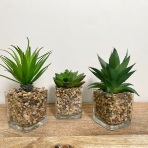 Set Of Three Faux Succulents In Glass Pots