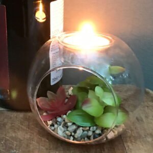 Succulent In Glass Terrarium with TeaLight Holder