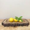 Small Wooden Platter Tray With Bark Edging