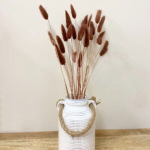 Set of Two Natural Dried Lagarus Bouquets in Cream & Brown