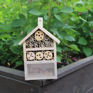 Wooden Insect House